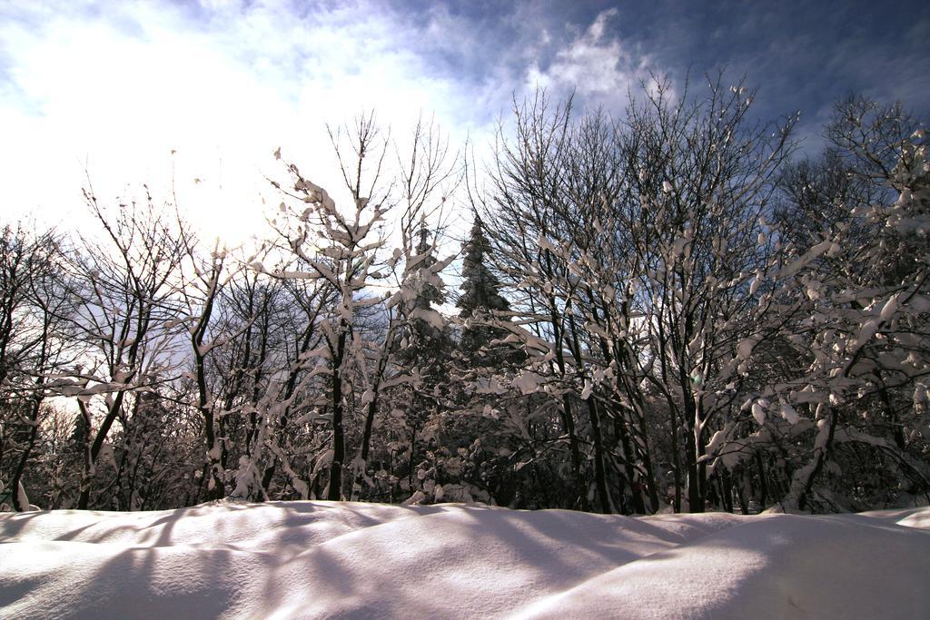 Pension Zueschener Bauernstuben Winterberg Exteriér fotografie