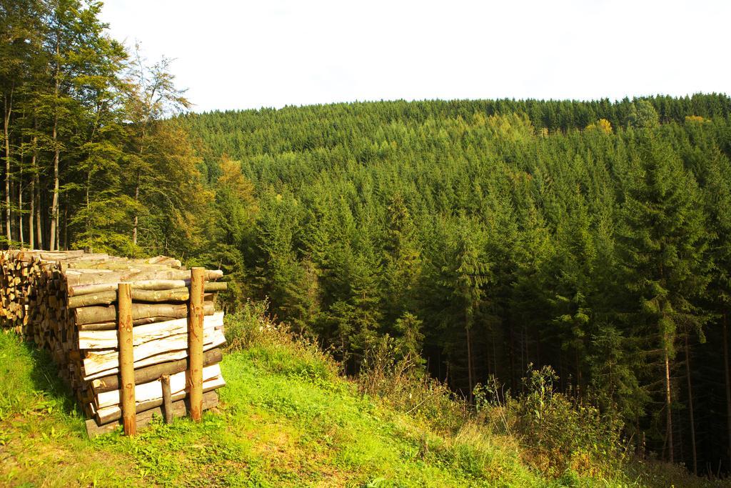 Pension Zueschener Bauernstuben Winterberg Exteriér fotografie